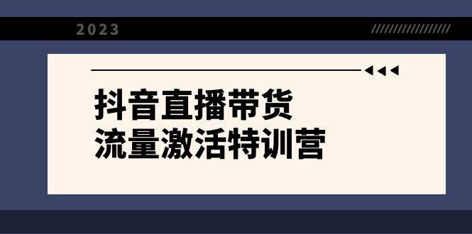 抖音直播带货-流量激活特训营，入行新手小白主播必学（21节课+资料）-靠谱项目库