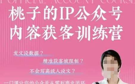 桃子IP公众号内容获客训练营(第3期)，一门让你公众号从0到商业闭环的课程-靠谱项目库