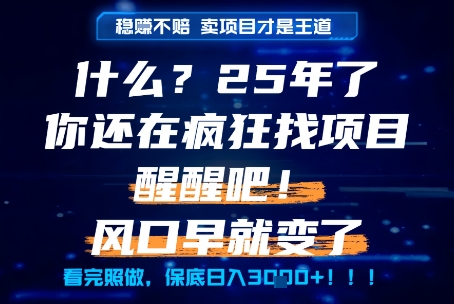 什么？25年你还在疯狂找项目做，醒醒吧，看完这些你全都懂了！【揭秘】-靠谱项目库