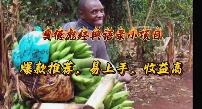 奥德彪经典语录小项目，爆款推荐，易上手，收益高-靠谱项目库