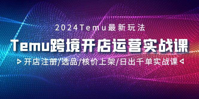 2024Temu跨境开店运营实战课，开店注册/选品/核价上架/日出千单实战课-靠谱项目库