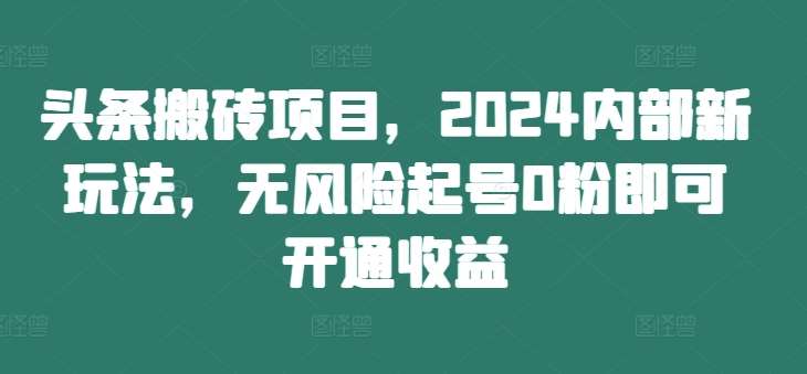 头条搬砖项目，2024内部新玩法，无风险起号0粉即可开通收益-靠谱项目库