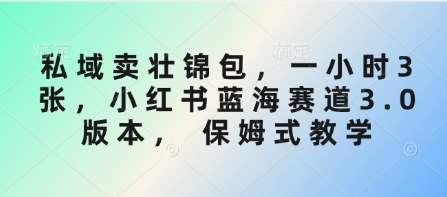 私域卖壮锦包，一小时3张，小红书蓝海赛道3.0版本， 保姆式教学-靠谱项目库