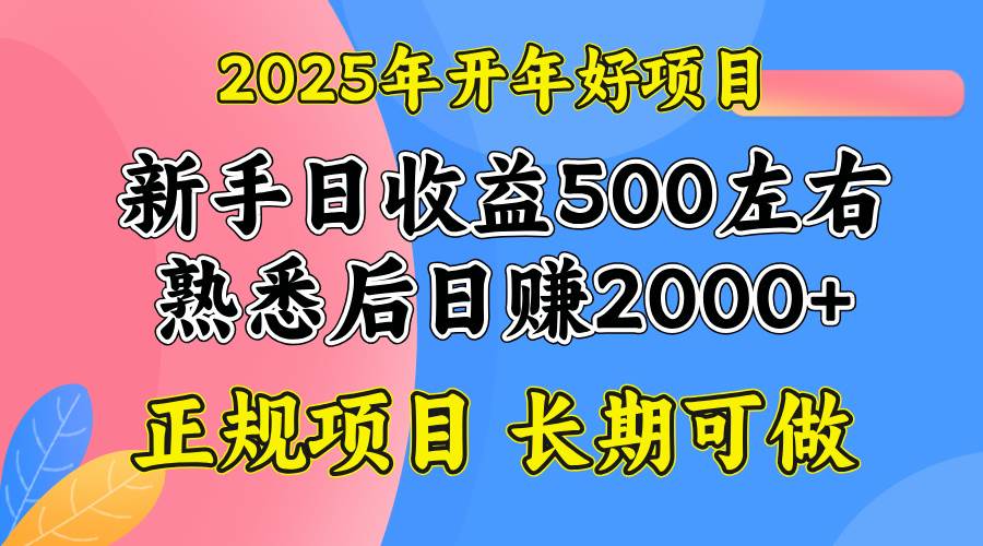 （14076期）2025开年好项目，单号日收益2000左右-靠谱项目库