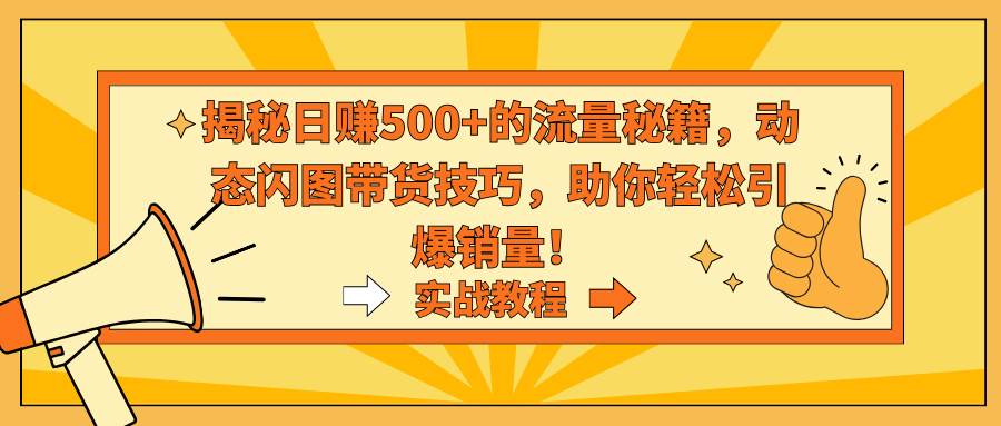 揭秘日赚500+的流量秘籍，动态闪图带货技巧，助你轻松引爆销量！-靠谱项目库