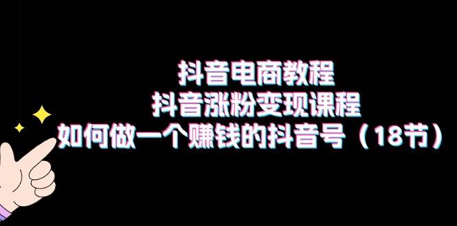 抖音电商教程：抖音涨粉变现课程：如何做一个赚钱的抖音号（18节）-靠谱项目库