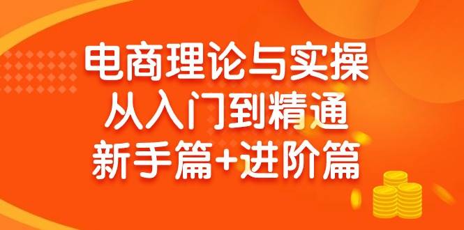 电商理论与实操从入门到精通 新手篇+进阶篇-靠谱项目库