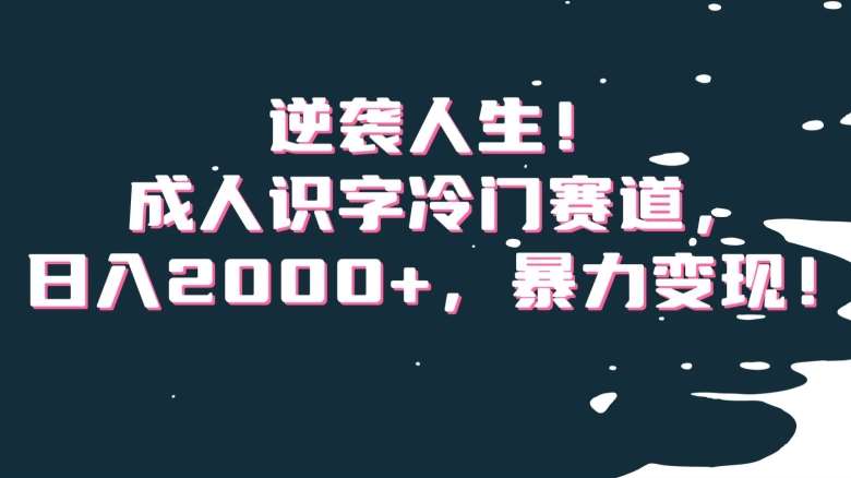 逆袭人生！成人识字冷门赛道，日入2000+，暴力变现！【揭秘】-靠谱项目库