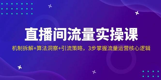 直播间流量实操课：机制拆解+算法洞察+引流策略，3步掌握流量运营核心逻辑-靠谱项目库