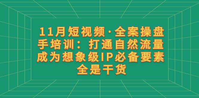 11月短视频·全案操盘手培训：打通自然流量 成为想象级IP必备要素 全是干货-靠谱项目库