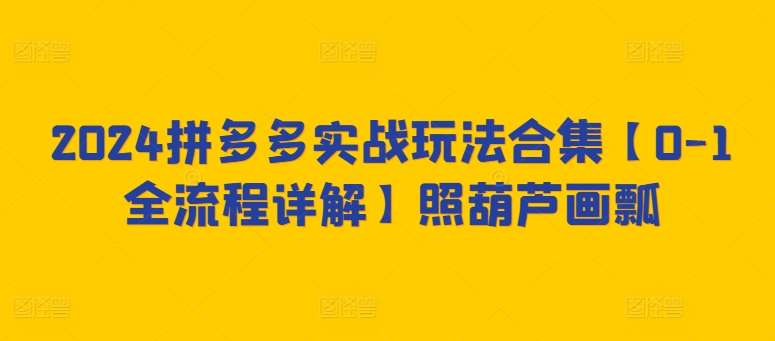 2024拼多多实战玩法合集【0-1全流程详解】照葫芦画瓢-靠谱项目库