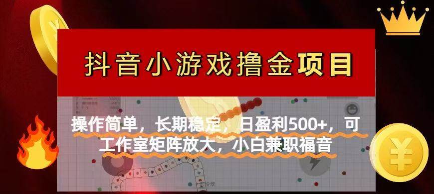 （14290期）【抖音小游戏发行人计划项目】操作简单，长期稳定，日盈利500+，可工作...-靠谱项目库