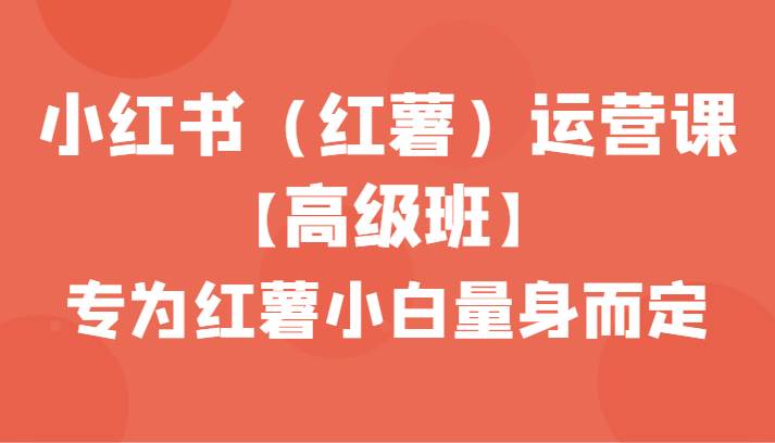 小红书（红薯）运营课【高级班】，专为红薯小白量身而定（42节课）-靠谱项目库