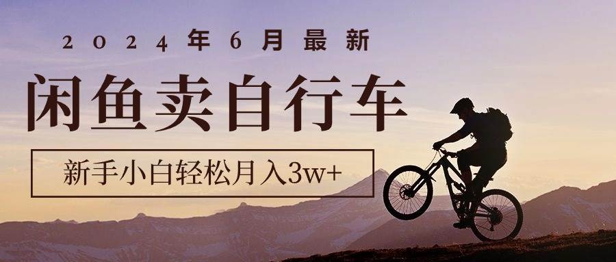 2024年6月最新闲鱼卖自行车，新手小白轻松月入3w+项目-靠谱项目库