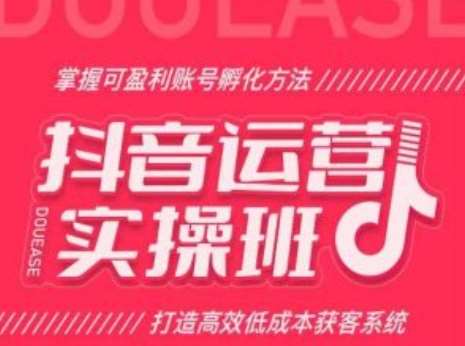 抖音运营实操班，掌握可盈利账号孵化方法，打造高效低成本获客系统-靠谱项目库