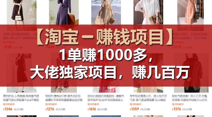（11685期）【淘宝赚钱项目】1单可赚1000多，大佬独家项目，年赚几百万-靠谱项目库